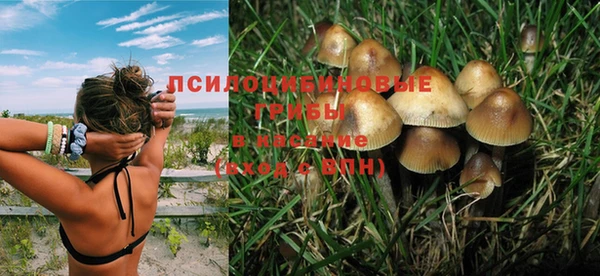 apvp Бронницы