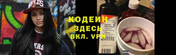 apvp Бородино